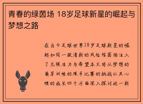 青春的绿茵场 18岁足球新星的崛起与梦想之路