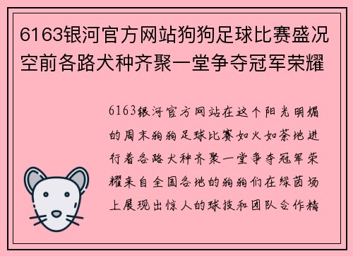 6163银河官方网站狗狗足球比赛盛况空前各路犬种齐聚一堂争夺冠军荣耀